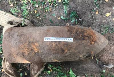 В лесу под Гатчиной нашли авиабомбу времен войны весом 250 кг