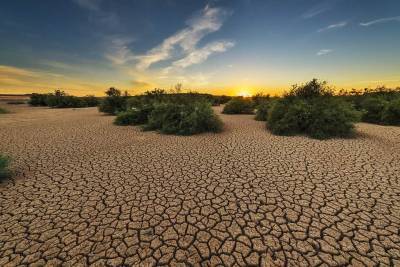 Прогноз ученых: миру грозит катастрофическая засуха - Cursorinfo: главные новости Израиля