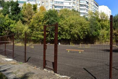 В Липецке оборудуют 20 площадок для выгула собак (фото)