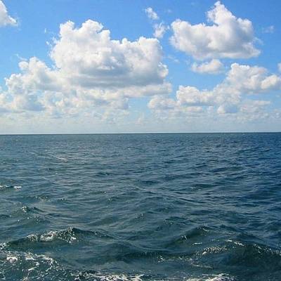 Черное море прибавило четыре метра