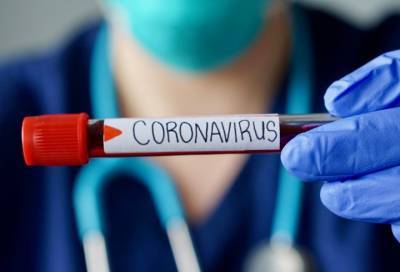 Названы районы Ленобласти, где 24 сентября выявлены новые случаи коронавируса