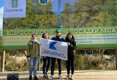Активисты Кадастровой палаты Ленобласти приняли участие в акциях по высадке леса