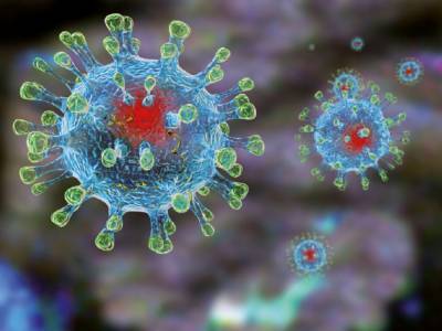 Ученые раскрыли новый способ борьбы с коронавирусом