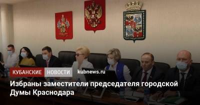 Избраны заместители председателя городской Думы Краснодара