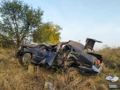 В Николаевской области Opel слетел в кювет: есть жертвы