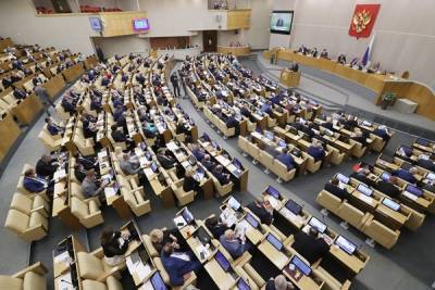 В Госдуме рассказали об удалённом формате работы пожилых депутатов