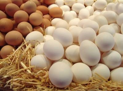 Девушке припомнили жадность: Ведущую «Нового канала» забросали яйцами