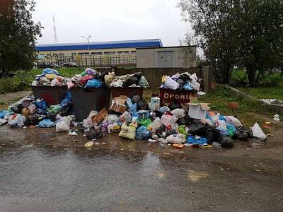 Мэрия Сыктывкара намерена подключить Стройжилтехнадзор к решению «мусорной» проблемы