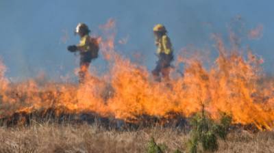 Воронежские спасатели третьи сутки тушат ландшафтный пожар в пойме реки
