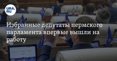 Избранные депутаты пермского парламента впервые вышли на работу. И определились, чем займутся