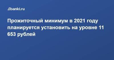 Прожиточный минимум в 2021 году планируется установить на уровне 11 653 рублей
