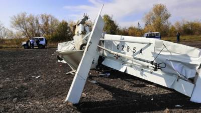 Причиной гибели пилота в Тульской области могло стать столкновение с ЛЭП