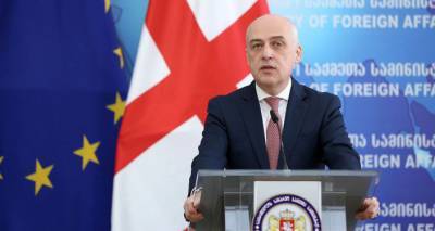 "Все может быть пересмотрено" - главы МИД Грузии и Азербайджана обсудили Давид-Гареджи