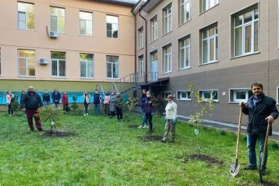 На территории больницы Семашко высадили деревья