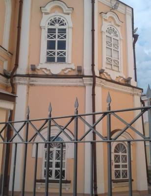 Томич пожаловался на новые окна в Богоявленском соборе