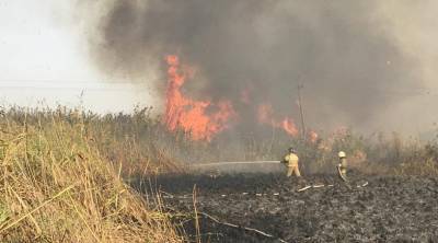 МЧС: пожар в районе Соленого озера горит в двух местах по фронту 1,5 тысячи метров