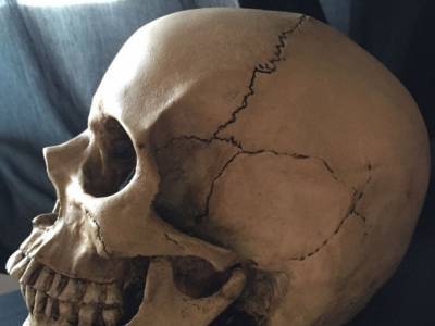 Житель Херсонской области обнаружил в своем огороде череп человека