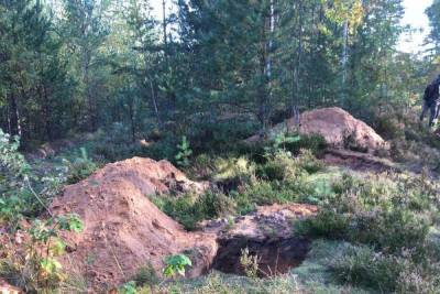 Останки трех человек нашли на раскопках в Псковской области