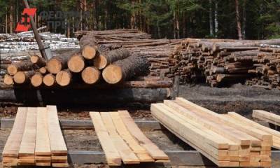Через биржу реализовали более 2 тысяч кубометров тюменской древесины