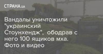 Вандалы уничтожили "украинский Стоунхендж", ободрав с него 100 ящиков мха. Фото и видео