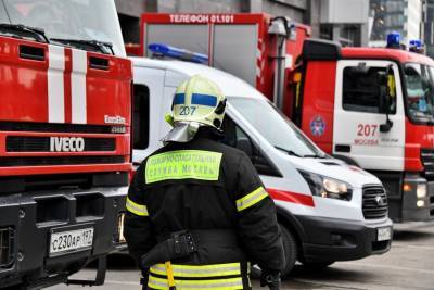 Москва онлайн: пожарные покажут, как спасать людей