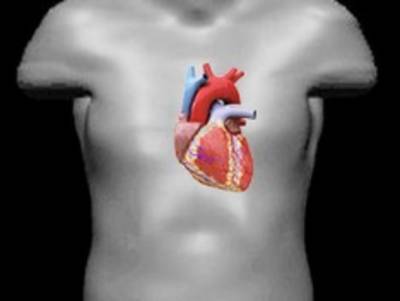 Кардиолог объяснил, как COVID-19 влияет на сердце здорового человека