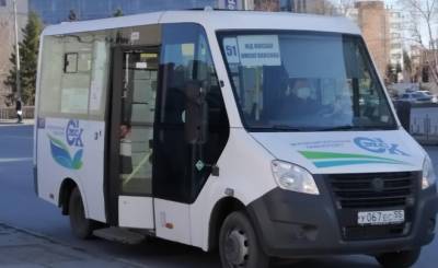 СМИ: в Омске ударили пассажирку маршрутки за разговор на татарском языке