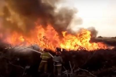 В Черкассах пожарные всю ночь тушили пожар возле зоопарка (видео)