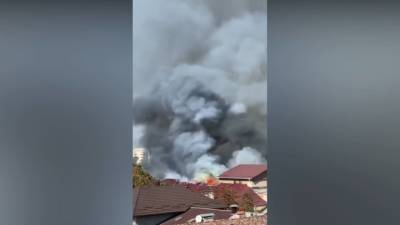 В горящей в Кишиневе филармонии рухнули крыша и потолок