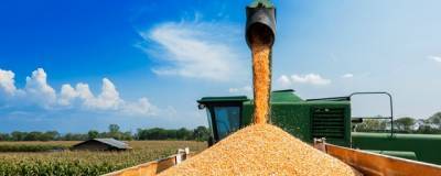 В Омской области серьезно выросли цены на зерно