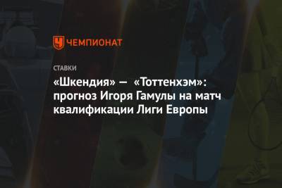 «Шкендия» — «Тоттенхэм»: прогноз Игоря Гамулы на матч квалификации Лиги Европы