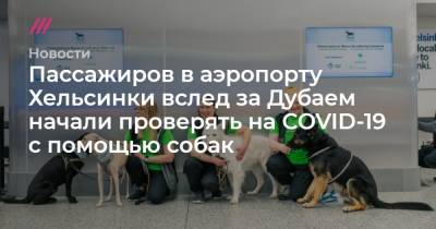 Пассажиров в аэропорту Хельсинки вслед за Дубаем начали проверять на COVID-19 с помощью собак