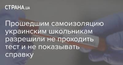 Прошедшим самоизоляцию украинским школьникам разрешили не проходить тест и не показывать справку