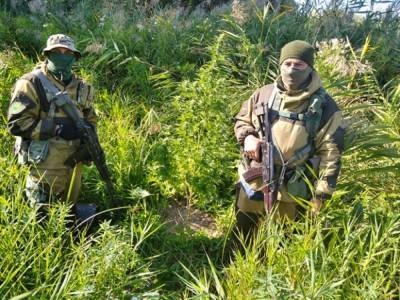 В Одесской области задержали мужчину за выращивание конопли