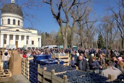 В Молдавии всплеск Covid-19, но массовые мероприятия разрешают