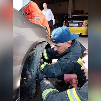 Житель Москвы разобрал машину, чтобы вытащить заползшую в нее гадюку