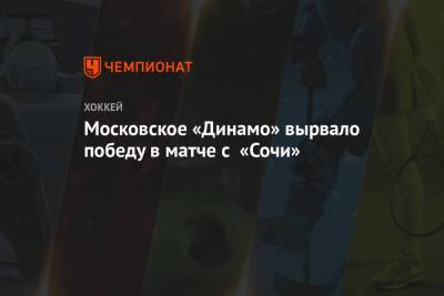 Московское «Динамо» вырвало победу в матче с «Сочи»