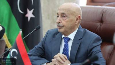 Салех подчеркнул важность Каирской декларации после переговоров по Ливии