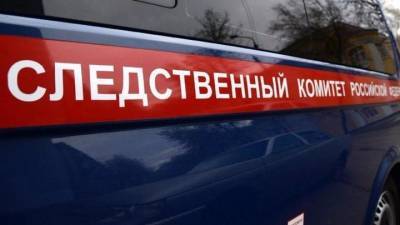 Малолетняя девочка найдена убитой в Новгородской области