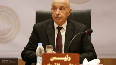 Палата представителей Ливии проверит траты на борьбу с коронавирусом