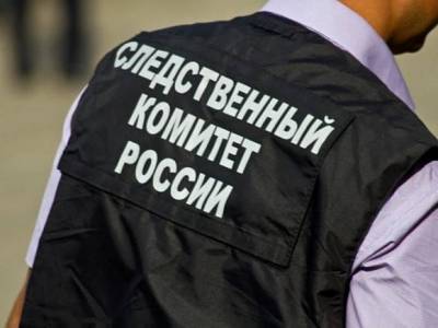 СМИ: В убийстве девятилетней девочки в Нижегородской области заподозрили экс-сожителя ее матери
