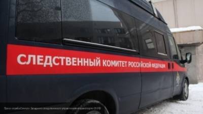 Пропавшая в Нижегородской области девочка найдена мертвой