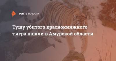 Тушу убитого краснокнижного тигра нашли в Амурской области