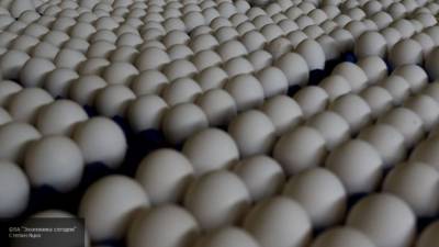 Кулинары назвали продукты-заменители яиц при выпекании пирогов