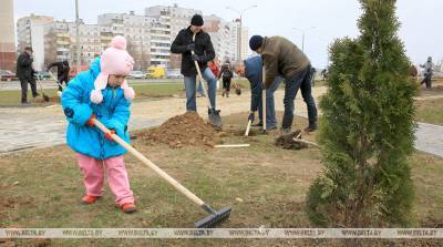Участники проекта "Властелин села" заложат семейную аллею в Витебске