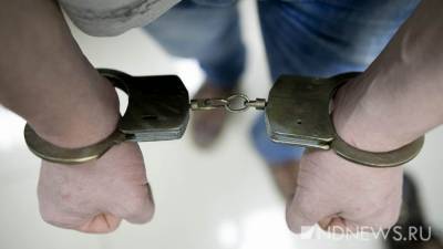 Убийцу 9-летней девочки задержали под Нижним Новгородом