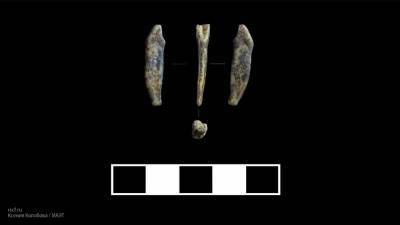 Российские археологи нашли артефакты периода палеолита на Алтае