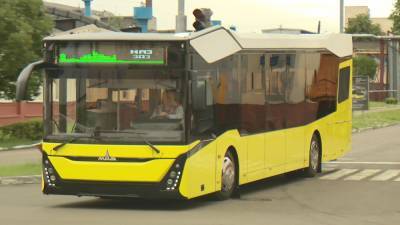 В Молдове планируют запустить совместное предприятие по сборке городских автобусов МАЗ