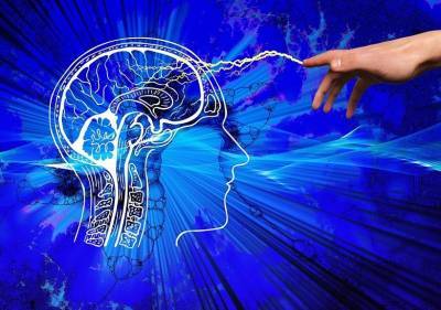 Учёные раскрыли механизм образования навязчивых мыслей в мозге человека