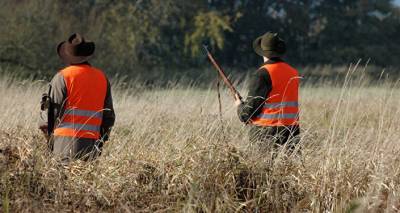 В Грузии выявили более 300 фактов незаконной охоты